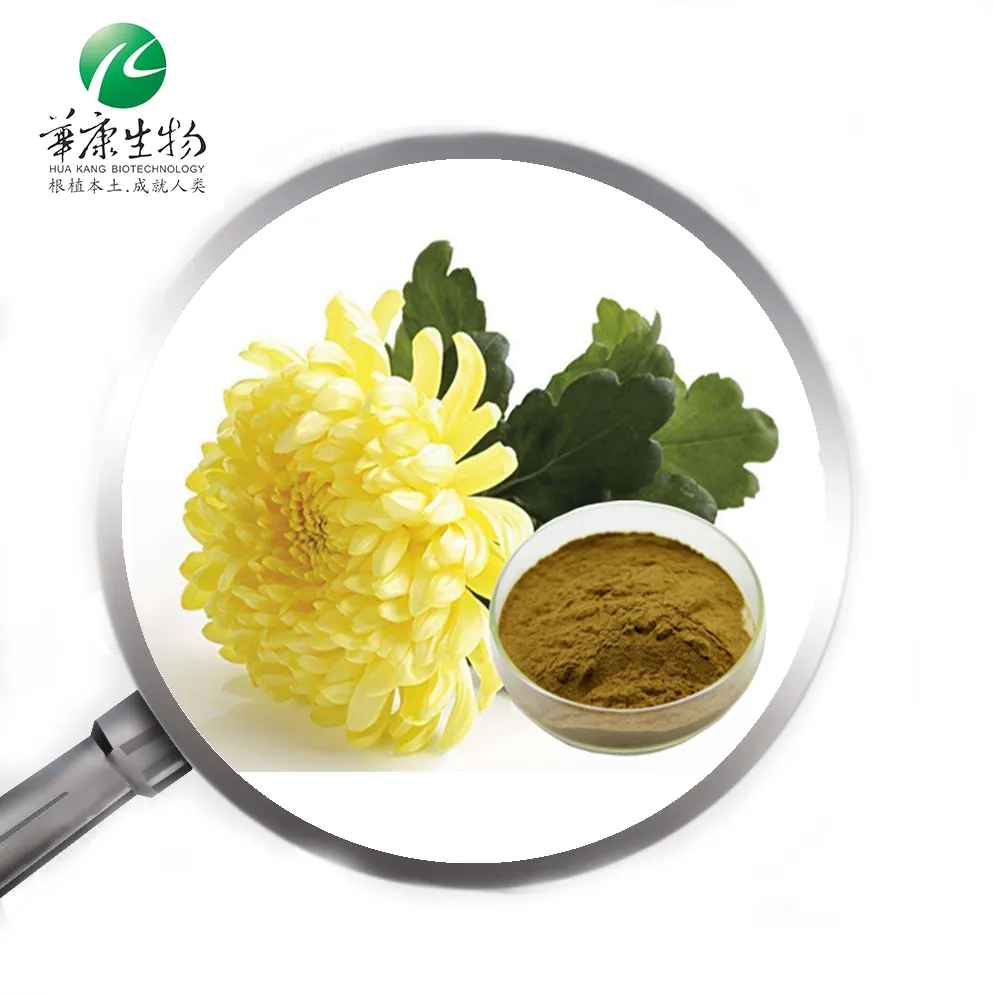 Fabrikant Levert Kruidengrondstof 10% 15% Flavonen Chrysanthemum Indicum Extract