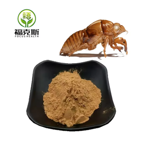 Bulk Pure Natural Getrocknetes Chan Tui Periostracum Cicadae PE. <span class=keywords><strong>Cicada</strong></span> Slough Extract Pulver - Product Image 1