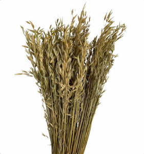Espigas de Trigo y Tallos de Avena Secos Naturales para Arreglos Florales, Decoración Artesanal con Flores Secas - Product Image 1