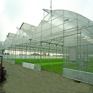 Invernadero grande multiusos de plástico para agricultura de doble capa Skyplant a la venta - Product Image 4