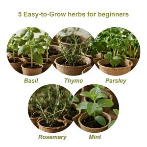 Độc đáo trong nhà Starter <span class=keywords><strong>Bonsai</strong></span> Tree Kit Country-style hoàn chỉnh Kit với <span class=keywords><strong>Bonsai</strong></span> công cụ làm bằng sợi chậu - Product Image 2