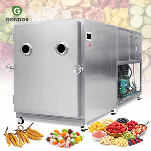 เครื่องทำซุปปลาเนื้อสัตว์ผักสมุนไพรดอกไม้แห้งแบบแช่เยือกแข็งสุญญากาศ (Liofilizador) สำหรับราคาแบบก้อน - Product Image 1