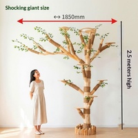Arbre à chat en pin - Vente de liquidation - Lit pour chat intégré, jouet, griffoir et teaser - Maison d'arbre minimaliste pour chats de compagnie