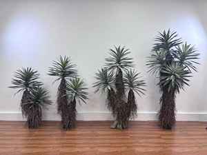 M667 Maison Jardin Hôtel Décor Intérieur Extérieur Décor Paysage de Terre Arbre Soie Plantes Artificielles Décoration - Product Image 5