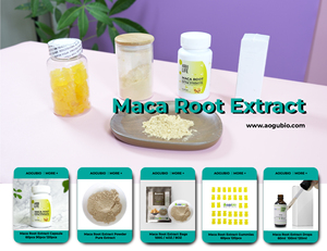 Servizio OEM/ODM Polvere di Maca Peruviana Biologica all'Ingrosso - Nera/Rossa/Gialla, Gelatinizzata e Grezza - Product Image 2