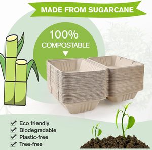Contenedores de Alimentos Desechables Biodegradables Libres de PFAS, de 9x6 Pulgadas, de Bagazo, Tipo Clamshell, para Llevar, Venta al Por Mayor - Product Image 4