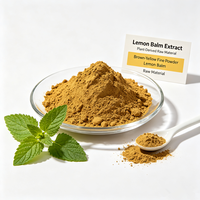 Extrait de Mélisse Citronnelle : Ingrédient Actif Botanique Disponible en Gros