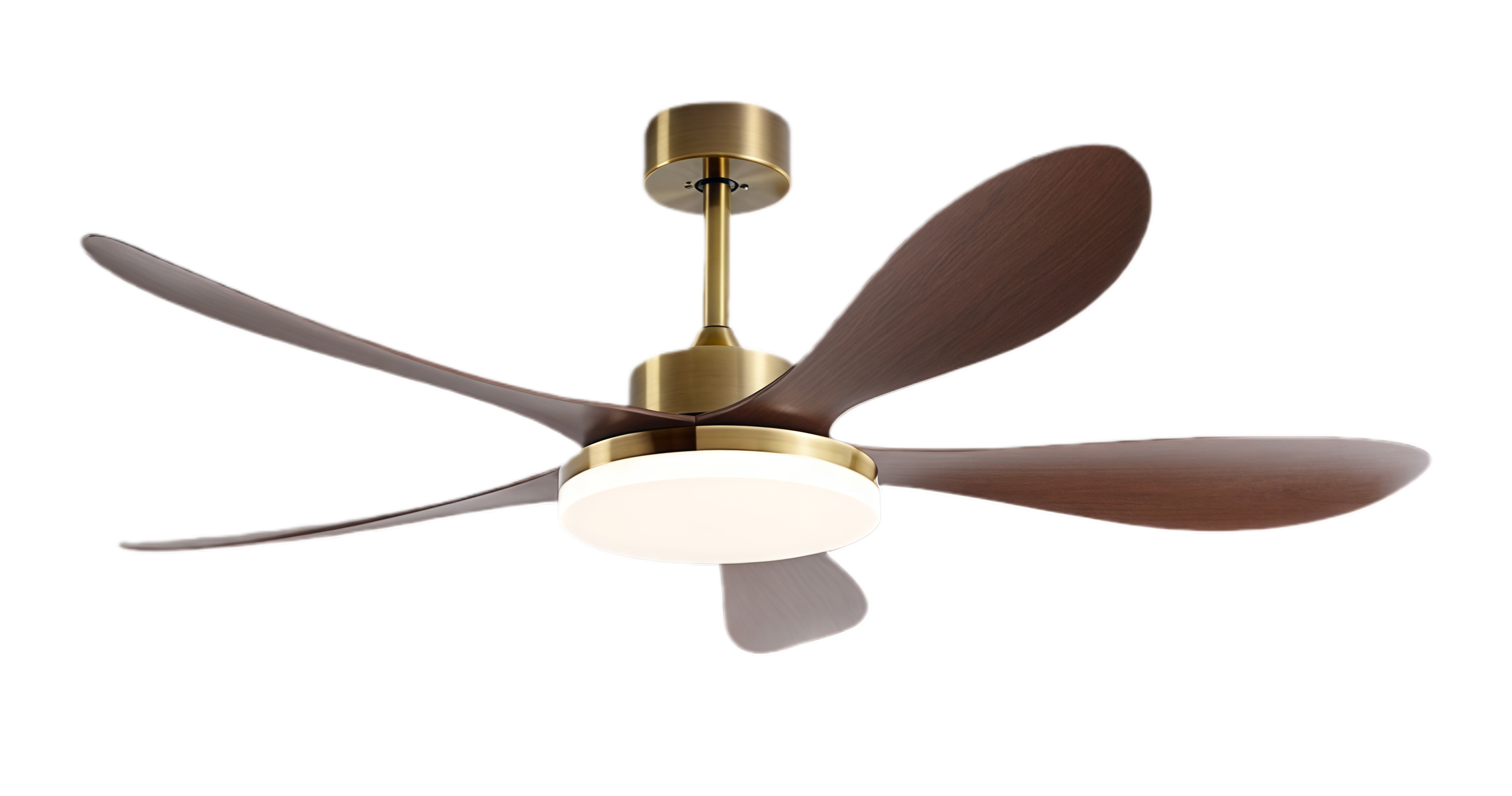 วอลนัทสีบรอนซ์