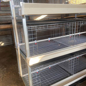 Cages à poulets de chair galvanisées professionnelles multi-niveaux de type H avec bande à fumier - Product Image 4
