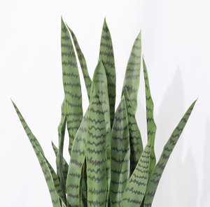 ดอกลิลลี่เสือประดิษฐ์สำหรับตกแต่งสวนบ้าน ต้นไม้ประดิษฐ์สีเขียว ตกแต่งบ้าน ทำจากพลาสติก สำหรับคริสต์มาส - Product Image 6