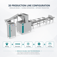 Ligne de production de friandises pour chiens par extrusion à froid 200 kg/h, machine automatique de fabrication de friandises molles, extrudeuse de friandises pour animaux de compagnie, contrôle PLC