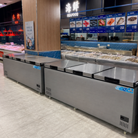 Réfrigérateur horizontal 1280L, congélateur profond, porte en acier inoxydable, refroidissement direct, contrôle numérique, R290, vente en gros