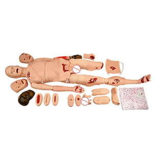 Modelo humano avanzado de enfermería, modelo Bisexual básico combinado - Product Image 3