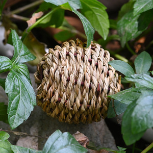 Balles tressées en paille pour animaux de compagnie, taille S, jouets à mâcher pour oiseaux, usage intérieur, motif uni, matériau en herbe, origine Fujian - Product Image 4