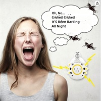 Nouveau produit transfrontalier : Générateur de bruit de cricket, machine à bruit agressif, dispositif de farce sonore, émetteur de son caché, modèle ABS 2026