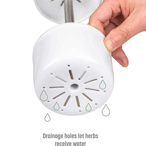 ขวดเก็บอาหารอเนกประสงค์ สเตนเลสสตีลและพลาสติก PP รุ่นคลาสสิค ปราศจากสาร BPA ยี่ห้อ LM Herb รุ่น 25140 อุปกรณ์ครัว - Product Image 3