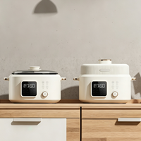 Cuisinière à pression de haute qualité, 5 L, grande capacité, électrique, multi-usages, pour riz, soupes, avec cuve intérieure en acier inoxydable antiadhésive