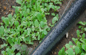 户外微喷聚乙烯胶带灌溉系统耐用塑料微喷胶带，适用于农田、花园和农场 - Product Image 5