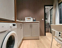 Casa Prefabricada Moderna, Villa de Acero Prefabricada para Jardín, Menor de 45 m² ㎡   Cabaña Modular Portátil para Uso en Exteriores en Irlanda