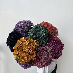 Vraies Branches d'Hortensias Stabilisés Grandes Feuilles 25-30 cm Naturelles Éternelles pour Mariage Saint-Valentin Remise de Diplôme Noël - Product Image 2