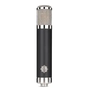 Club Rod Nt2-a Lkids Cutehcartoonpolar Pattern Studio Microphone à condensateur Métal Filaire Live Broadcast Microphone Set pour chanter