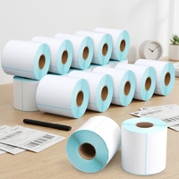 Papier thermique autocollant sensible à la chaleur et résistant à l'huile Stanyoar TS4030, petit rouleau pour l'inventaire des entrepôts industriels