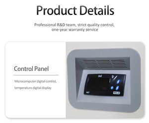 Mini Congelador Comercial de Ultra Baja Temperatura de 60 L, -65 °C, Congelador de Transferencia Médica, Utilizado para Productos Acuáticos DW-65W70, Baja Temperatura - Product Image 3