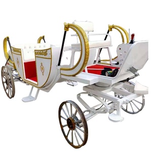 2021 Caleches Guidati Turistici Trainati da Cavalli Cavallo Europeo Carrelli/Cavallo Wagon/Cavallo di Trasporto - Product Image 1
