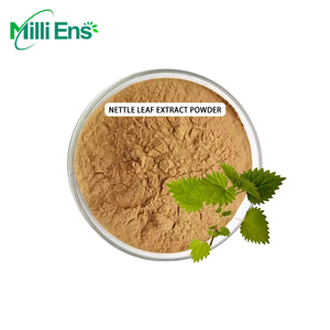 Chất lượng cao cây tầm ma gốc bột OEM Dịch vụ châm chích cây tầm ma chiết xuất bột trên bán - Product Image 1