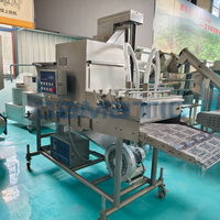 Großkapazitäts-Industrie-Elektro-Fritteuse für Snacks, Knödel und Pommes Frites Produktionslinie
