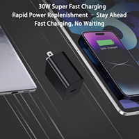 Chargeur d'ordinateur portable haute vitesse 30W PD 3.0 GaN à double port (USB-A + USB-C) 5V/3A, écologique, avec prise US