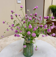 Batang Globe Amaranth Kering Alami Asli, Bunga Gomphrena Abadi untuk Kerajinan DIY, Fotografi, Aromaterapi, Seni Resin