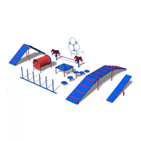 Structure de jeu multifonctionnelle haut de gamme pour animaux de compagnie : structure d'escalade, tunnel et poutre d'équilibre, non toxique et durable pour les jardins et les parcs pour animaux.