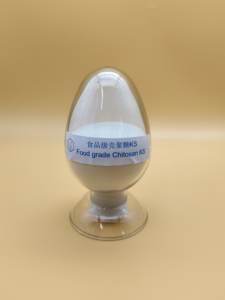 Высококачественный читозан высокой чистоты для функциональных продуктов питания по заводской цене - Product Image 4