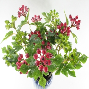 Yopin-2243 nóng bán nhân tạo bọt táo gai lá chi nhánh cho trang trí nội thất - Product Image 5