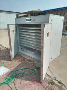 Incubateur automatique BeYou 4224 de taille moyenne pour œufs, avec un taux d'éclosion de 98 %, 220 V, pour usage aviaire - Product Image 5