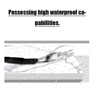 Câble coaxial RF haute fréquence flexible en PVC personnalisé, fabriqué en Chine, E00089, faisceau de câblage pour instrument de voiture, assemblage IP66 12V