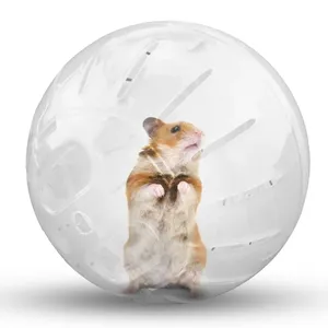 Woestijnrat Hamster Jogging Fitness Bal Kooi Speelgoed Huisdier Mini Sport Running Wiel Windmolen Hamster Bal