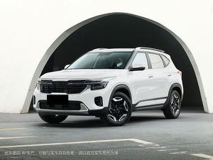 Setus ، 1.5 لتر CVT إصدار الموضة SUV/Sedan R18 إطارات خفيفة داخلية عالية الاقتصاد تعمل بالغاز/البنزين سيارة جديدة - Product Image 2