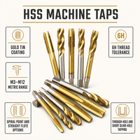 Tap Bor Ulir HSS Spiral Point Straight Flute untuk Baja Tahan Karat CNC M3 M4 M5 M6 M8 M10 M12