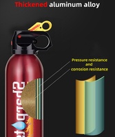 Petit Portable 24 pièces par carton extincteurs 0.5kg 0.6kg en aluminium peut avec matériau d'agent mousse pour une utilisation en voiture