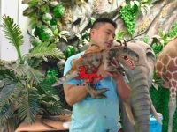 Boneka Tangan Dinosaurus Mini Raptor Berbulu Lucu Realistis, Mulut Dapat Dibuka Tutup dengan Suara, Interaktif untuk Dalam Ruangan