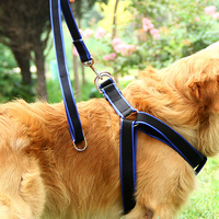 Vente chaude Durable Pour Animaux De Compagnie Harnais et Mis En Nylon Ensemble Harnais et Laisse Pour Chien pour les Chiens Moyens et Grands