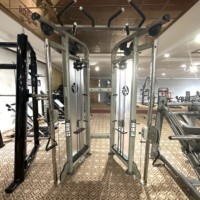 Entrenador de acero multifuncional para pájaros pequeños, equipo de ejercicio físico para brazos, pecho, piernas, espalda, culturismo, práctica de tríceps
