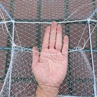 Nouvelle Cage de Pêche Pliable Longue MarineLink Dragon Trap à 29 Couches 19*31cm en HDPE, Fabrication Chinoise