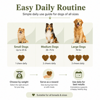 Complément alimentaire premium contre les puces et les tiques pour chiens, sous forme de bouchées molles, pour toutes les races, soin régulier botanique, sans produits chimiques agressifs, 300g