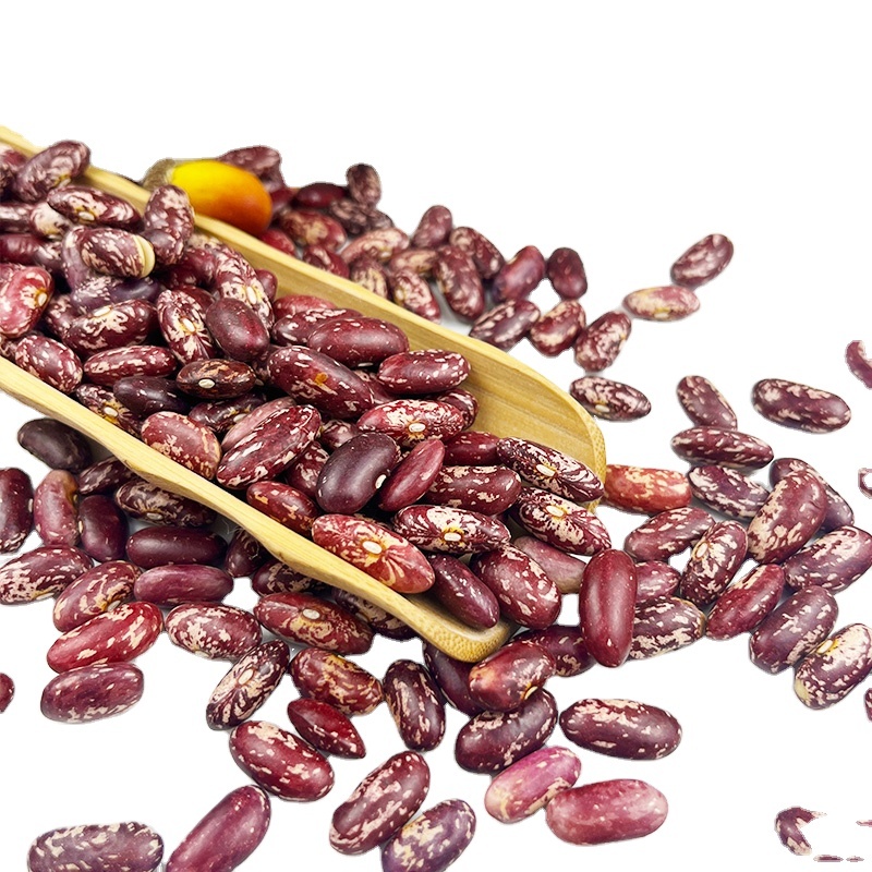 High Quality Dried Yellow Beans Food