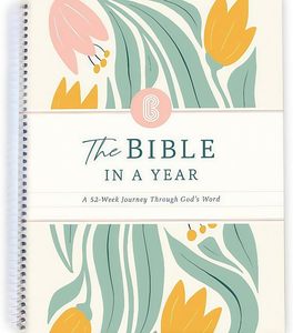 Biblia Premium <span class=keywords><strong>para</strong></span> <span class=keywords><strong>mujeres</strong></span> Juego completo con Diario <span class=keywords><strong>de</strong></span> <span class=keywords><strong>estudio</strong></span> bíblico y suministros <span class=keywords><strong>para</strong></span> <span class=keywords><strong>Mujeres</strong></span> Cristianas Crecimiento espiritual - Product Image 2