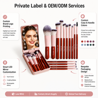 Ensemble de 14 pinceaux de maquillage portables de voyage avec miroir lumineux LED, poils synthétiques, pinceaux cosmétiques pour le visage, vente en gros sous marque privée