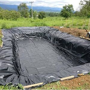 सड़क ब्रांड hdpe जियोम्ब्रन uv प्रतिरोधी मछली के लिए समुद्री तालाब अभेद्य और बाहरी उपयोग के लिए - Product Image 6